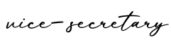 单词vice-secretary书写