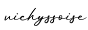 单词vichyssoise书写