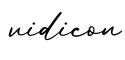 单词vidicon书写