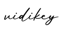 单词vidikey书写