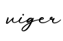 单词viger书写