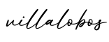 单词villalobos书写