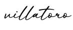 单词villatoro书写