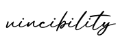 单词vincibility书写
