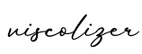 单词viscolizer书写