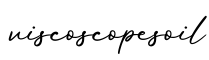 单词viscoscopesoil书写