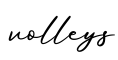 单词volleys书写