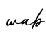 单词wab书写