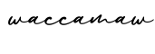 单词waccamaw书写