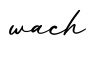 单词wach书写