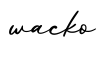 单词wacko书写