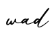 单词wad书写