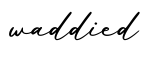 单词waddied书写