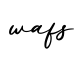 单词wafs书写