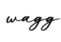 单词wagg书写