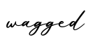 单词wagged书写