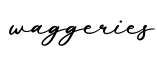 单词waggeries书写