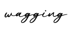 单词wagging书写
