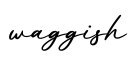 单词waggish书写