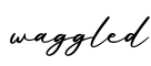 单词waggled书写
