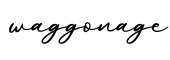 单词waggonage书写