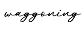 单词waggoning书写