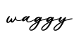 单词waggy书写