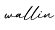 单词wallin书写