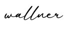 单词wallner书写