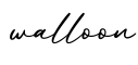 单词walloon书写