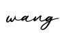 单词wang书写