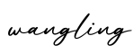 单词wangling书写