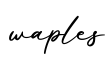 单词waples书写