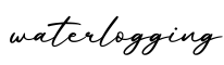 单词waterlogging书写