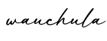 单词wauchula书写