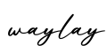 单词waylay书写