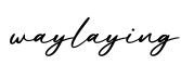 单词waylaying书写