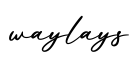 单词waylays书写