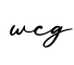单词wcg书写