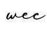 单词wec书写