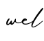 单词wel书写