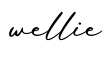 单词wellie书写