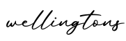 单词wellingtons书写