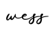 单词wess书写