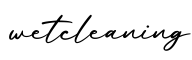 单词wetcleaning书写