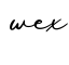 单词wex书写