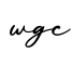单词wgc书写