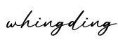 单词whingding书写