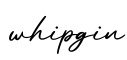 单词whipgin书写