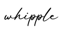 单词whipple书写